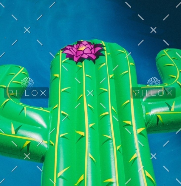 demo-attachment-335-jakob-owens-gtuzMFrkq6Q-unsplash