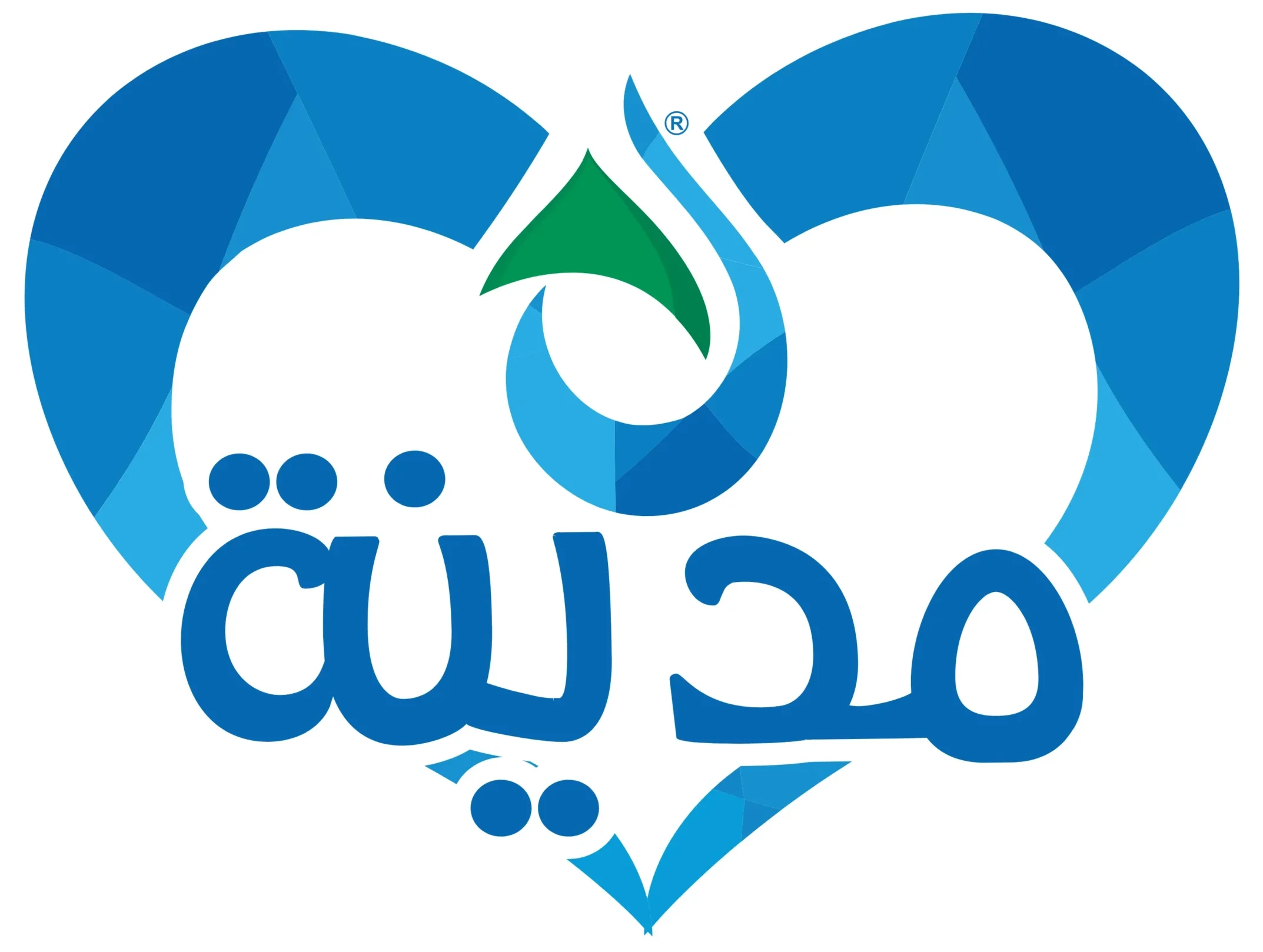 مياه المدينة